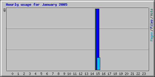 Hourly usage for January 2005